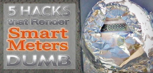 5 hacks that render smart meters dumb | PATRIOTS &amp; PAULIES (Politics and News)